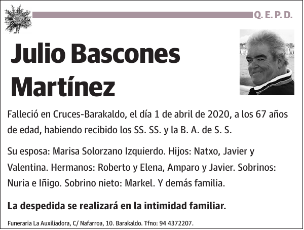 Julio Bascones Martínez