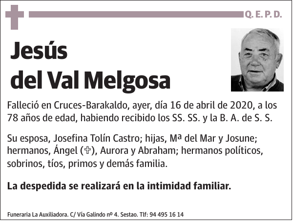 Jesús del Val Melgosa