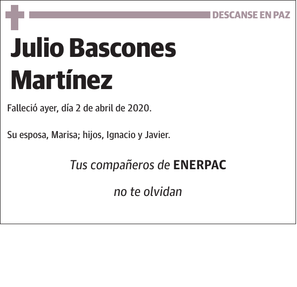 Julio Bascones Martínez