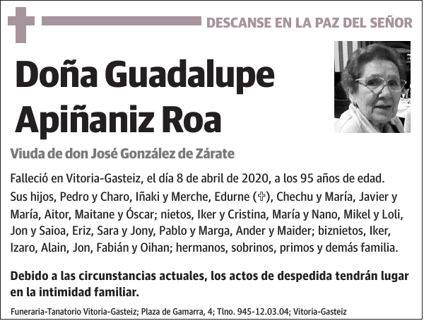 Guadalupe Apiñaniz Roa