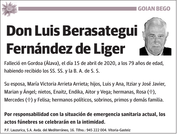 Luis Berasategui Fernández de Liger