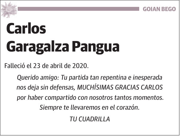 Carlos Garagalza Pangua