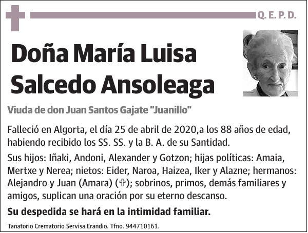 María Luisa Salcedo Ansoleaga