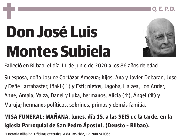 José Luis Montes Subiela