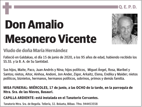 Amalio Mesonero Vicente