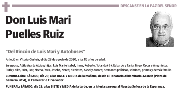 Luis Mari Puelles Ruiz