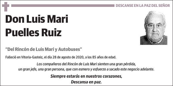 Luis Mari Puelles Ruiz