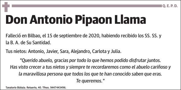 Antonio Pipaon Llama