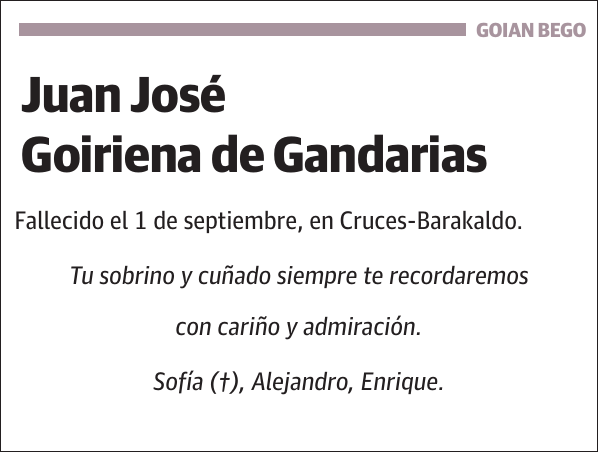 Juan José Goiriena de Gandarias