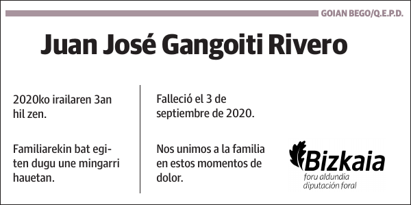 Juan José Gangoiti Rivero