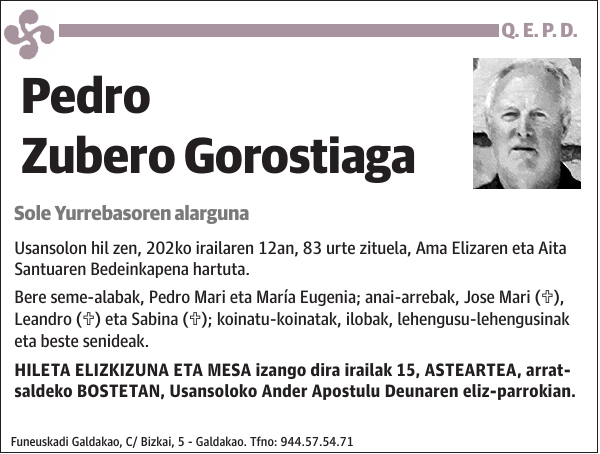 Pedro Zubero Gorostiaga