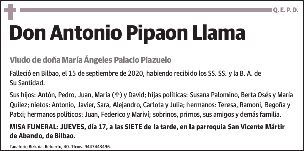 Antonio Pipaon Llama