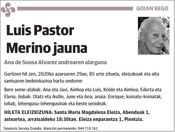 Luis Pastor Merino