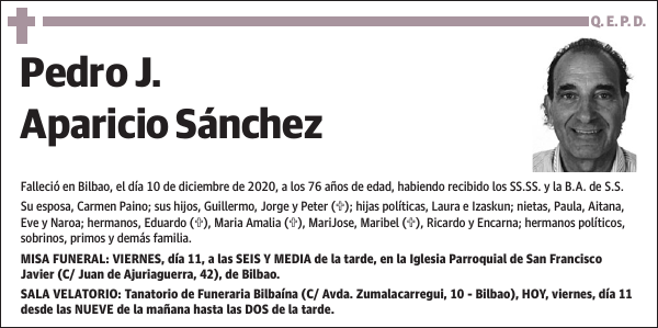 Pedro J. Aparicio Sánchez