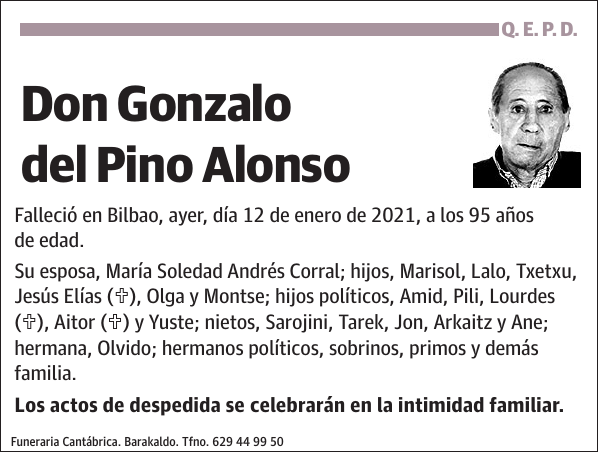 Gonzalo del Pino Alonso