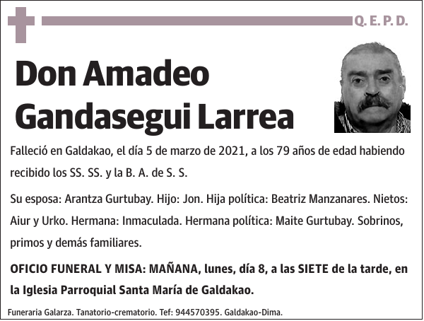 Amadeo Gandasegui Larrea