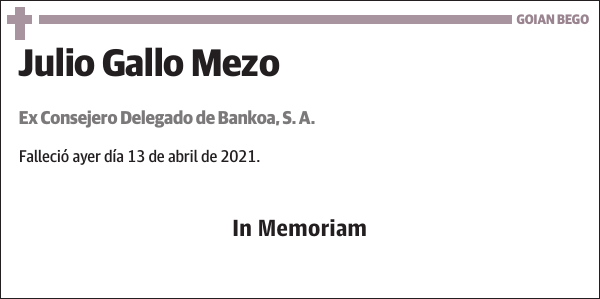 Julio Gallo Mezo