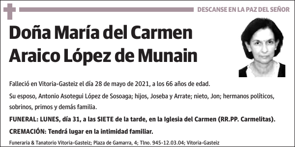 ARAICO LOPEZ DE MUNAIN,Mª DEL CARMEN