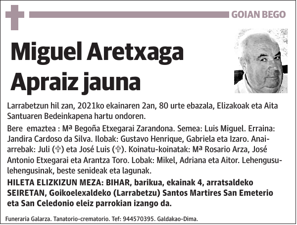 Miguel Aretxaga Apraiz