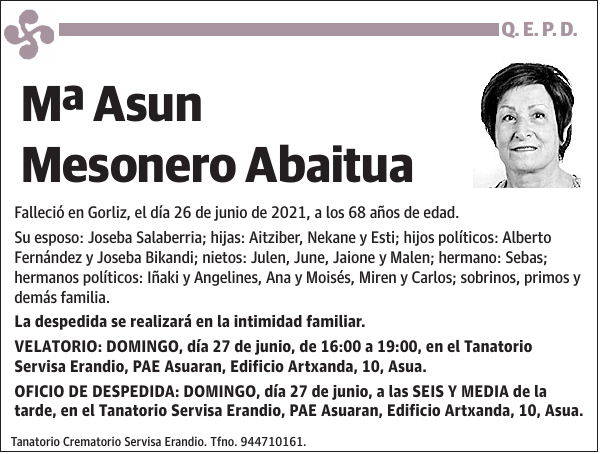 Mª Asun Mesonero Abaitua