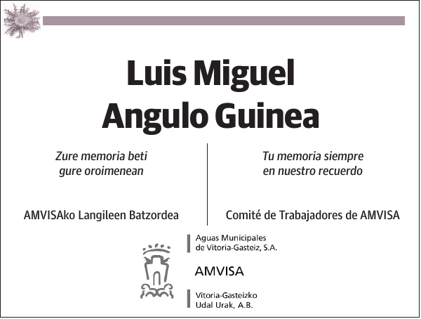 Luis Miguel Angulo Guinea