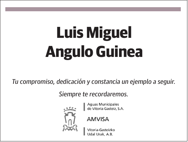 Luis Miguel Angulo Guinea