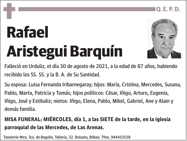 Rafael Aristegui Barquín