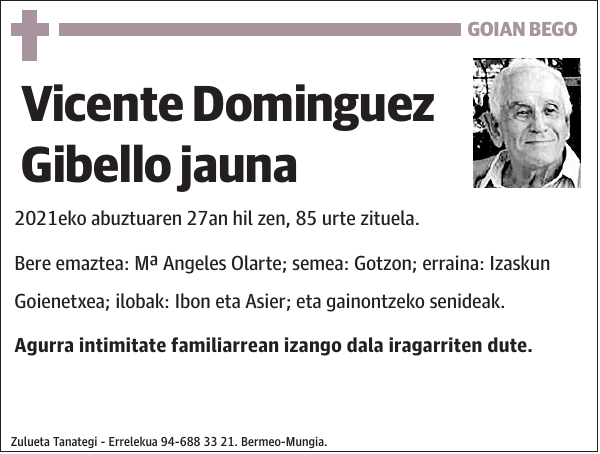 Vicente Dominguez Gibello