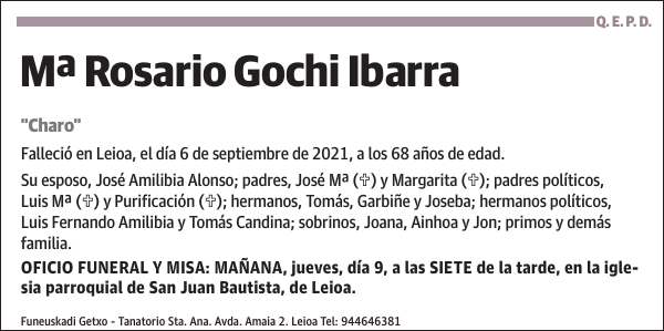 Mª Rosario Gochi Ibarra