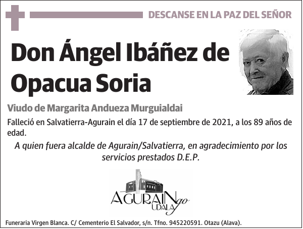 Ángel Ibáñez de Opacua Soria