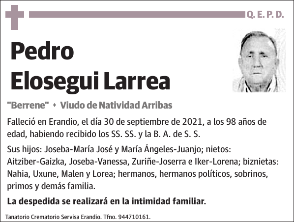 Pedro Elosegui Larrea