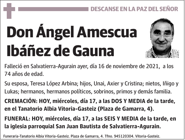 Ángel Amescua Ibáñez de Gauna