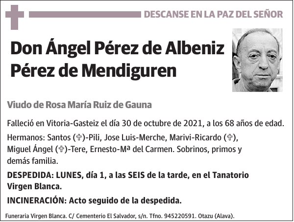 Ángel Pérez de Albeniz Pérez de Mendiguren