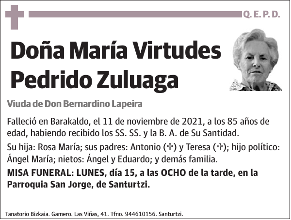 María Virtudes Pedrido Zuluaga