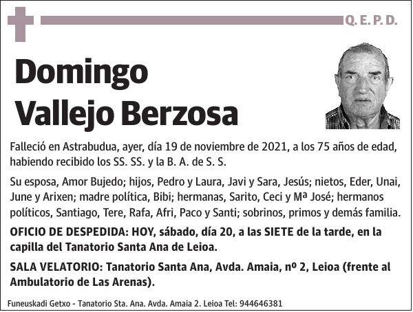 Domingo Vallejo Berzosa