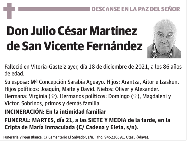 Julio César Martínez de San Vicente Fernández