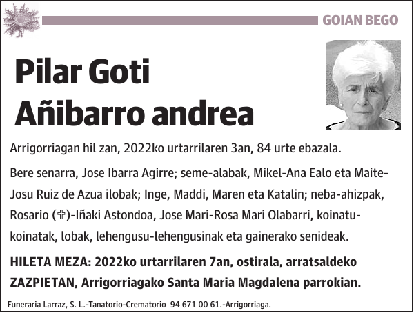 Pilar Goti Añibarro