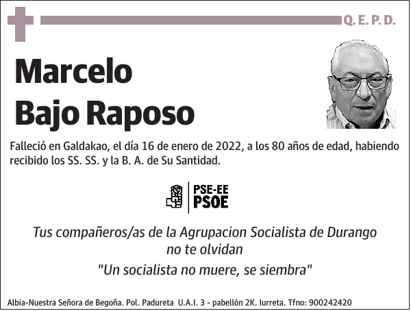 Marcelo Bajo Raposo