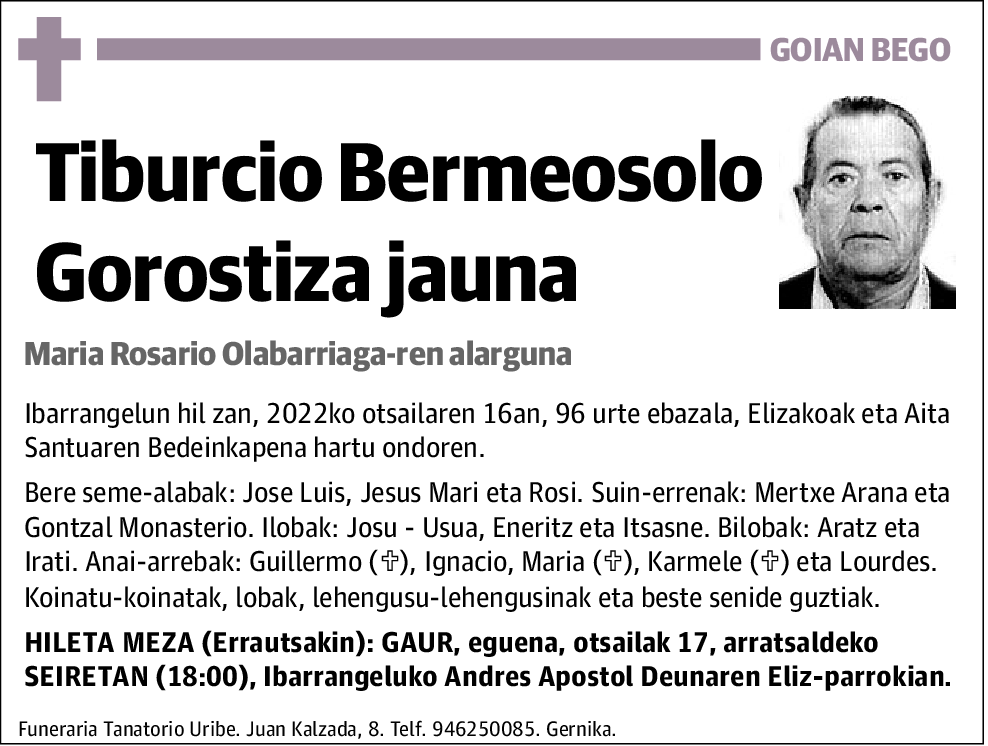 Tiburcio Bermeosolo Gorostiza