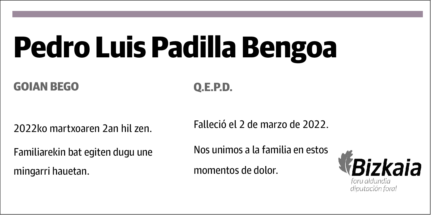 Pedro Luis Padilla Bengoa