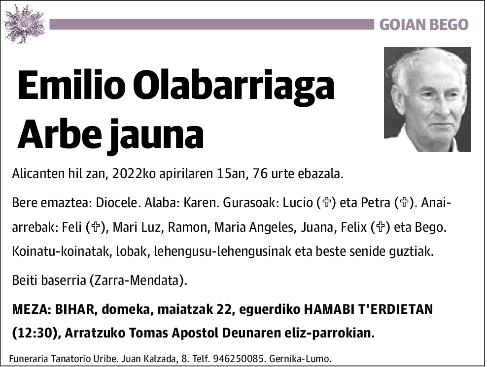 Emilio Olabarriaga Arbe