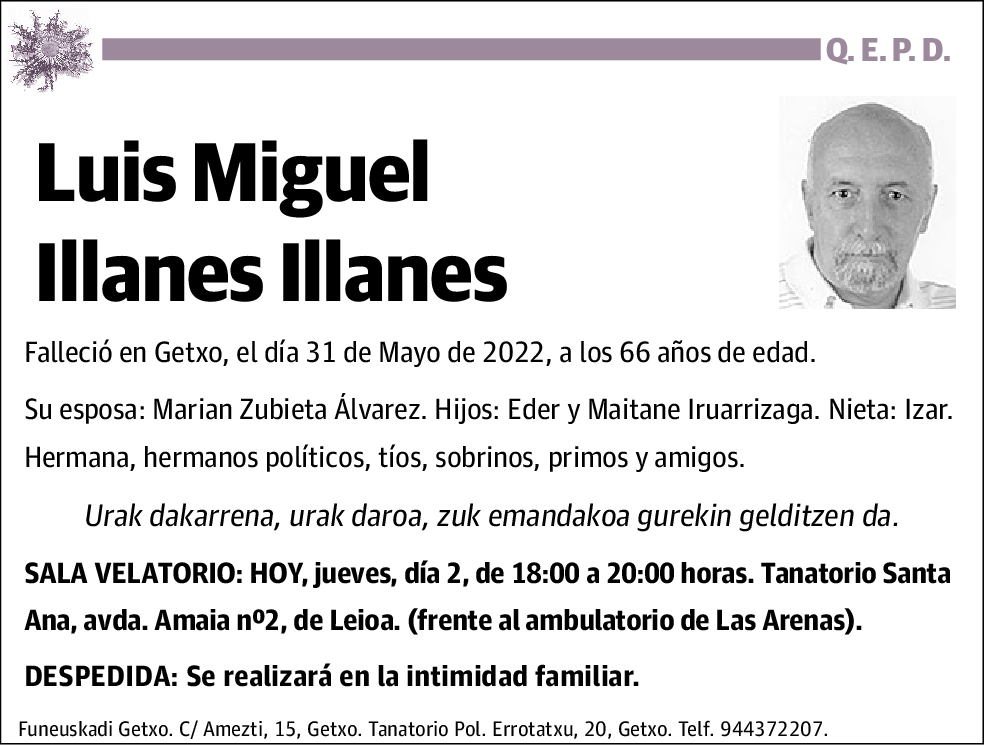 Luis Miguel Illanes Illanes