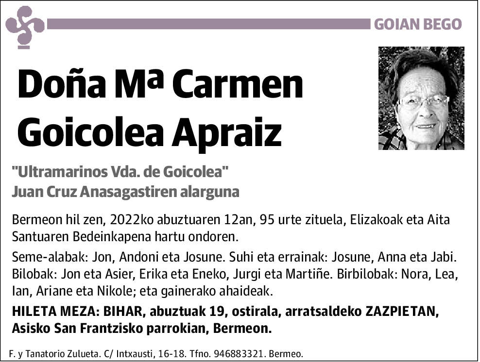 María Carmen Goicolea Apraiz