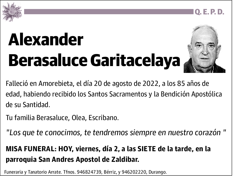 Alexander Berasaluce Garitacelaya