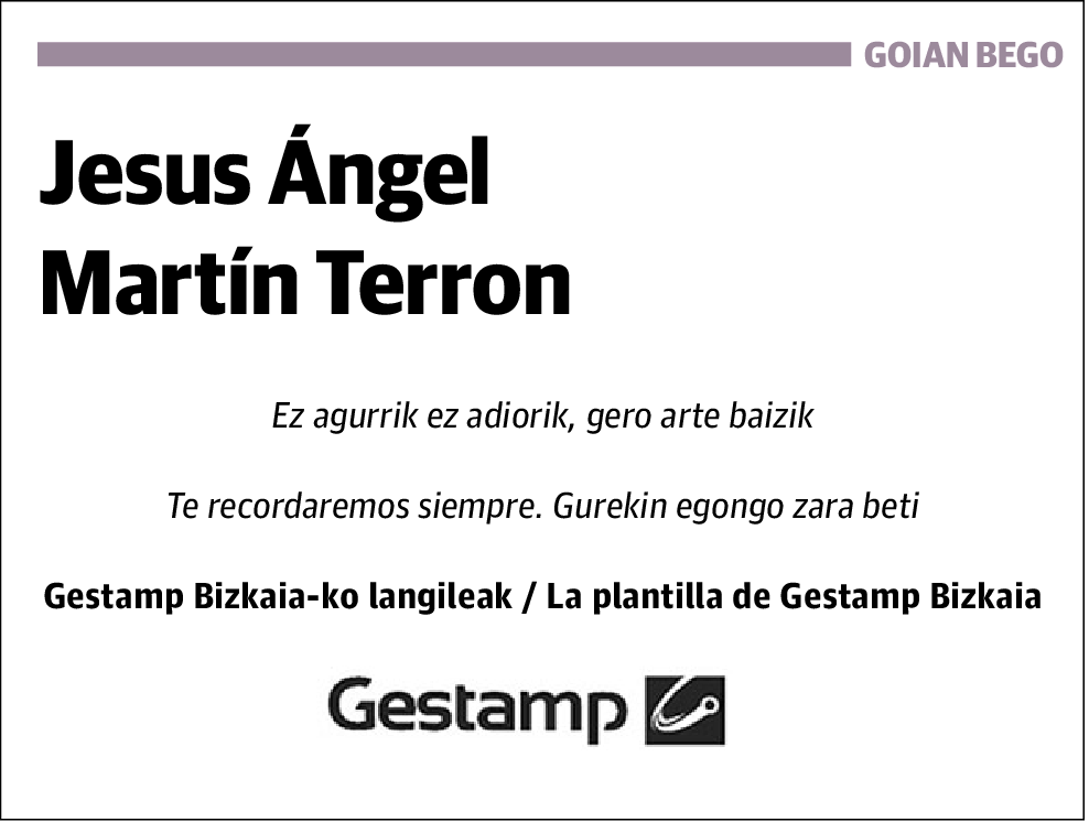 Jesus Ángel Martín Terron