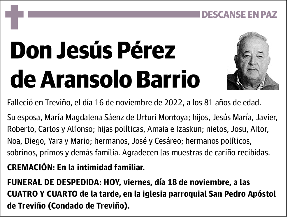 Jesús Pérez de Aransolo Barrio