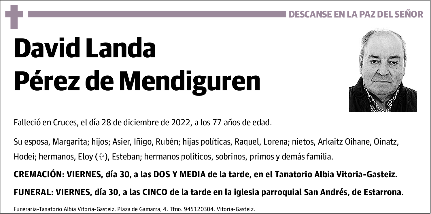 David Landa Pérez de Mendiguren