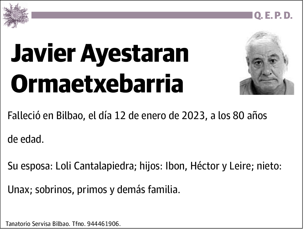 Javier Ayestaran Ormaetxebarria