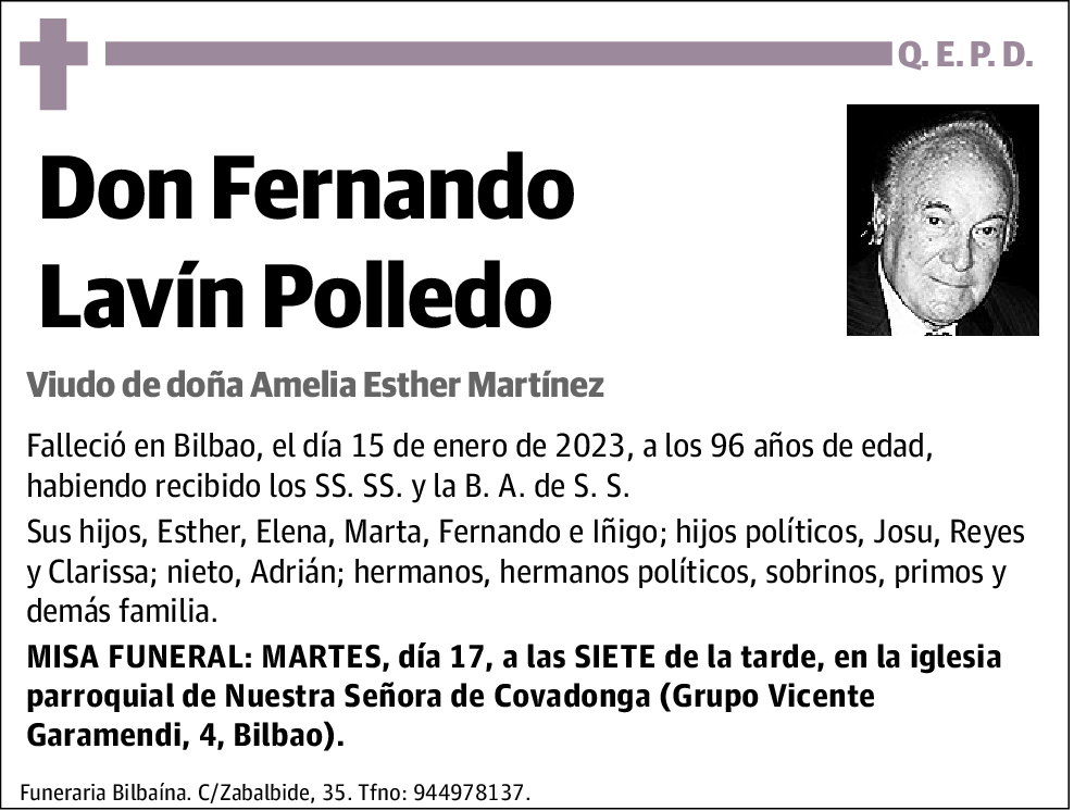 Fernando Lavín Polledo