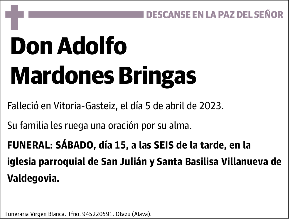 Adolfo Mardones Bringas